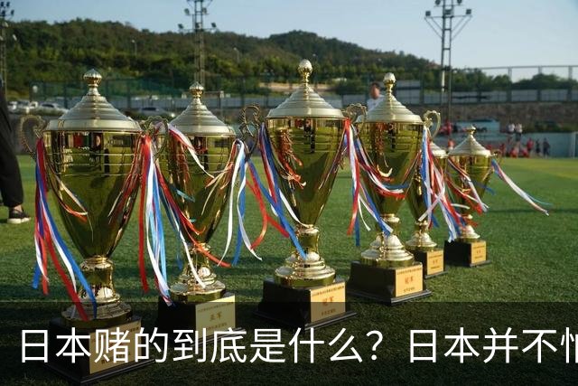 日本赌的到底是什么？日本并不怕中国制裁，也不怕经济下滑、航班取消；它压根不是在赌，而是早已把最坏的结果都盘算了一遍