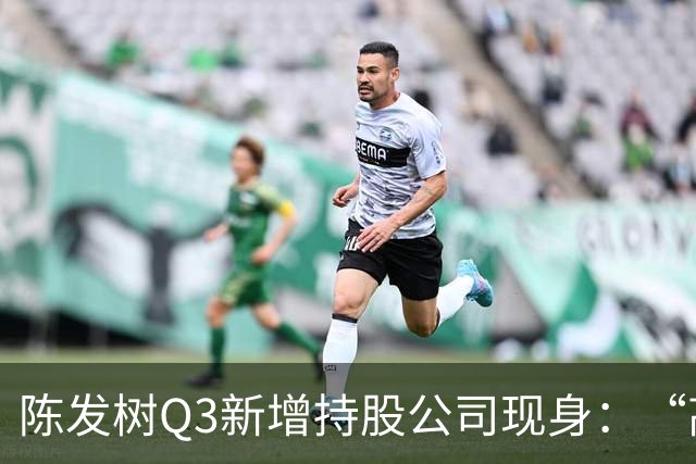 陈发树Q3新增持股公司现身：“高空安全设备龙头”中际联合，第三季度净利同比下滑超44%
